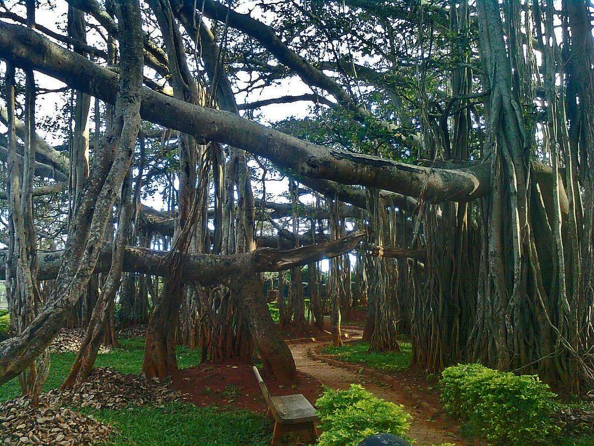 Kabirwad, Picnic Spots near Vadodara