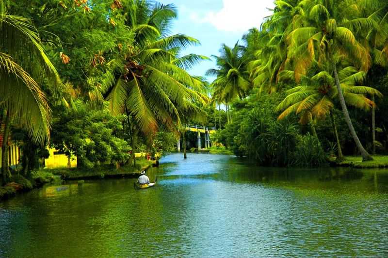 Kerala, Top States That Are Promoting Eco-tourism In India