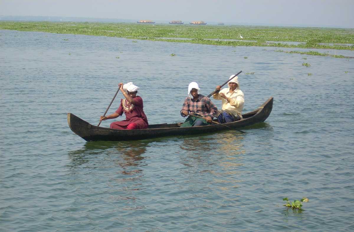 9 Beautiful Kerala Backwaters in 2020 - Boating Options, Cost