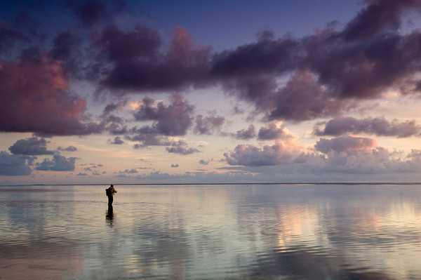 Alphonse Island Seychelles