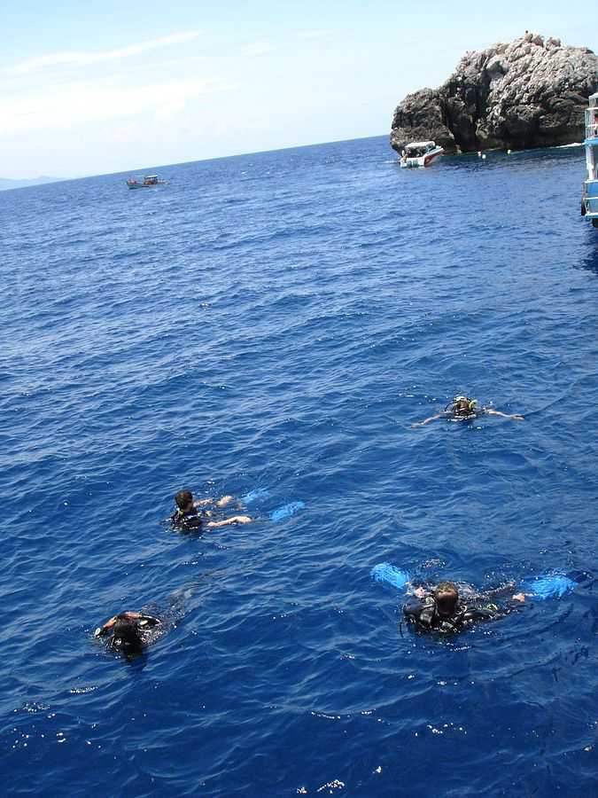 Sail Rock Koh Tao, Dive Sites Near Koh Tao