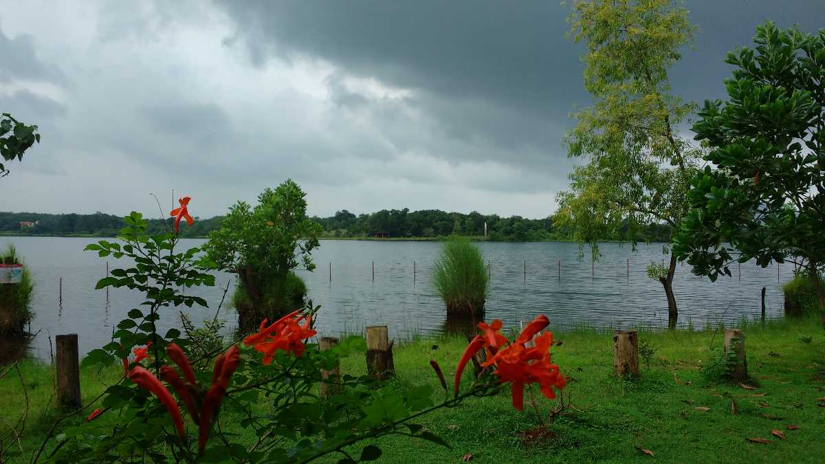 Monsoon Season, Kolad