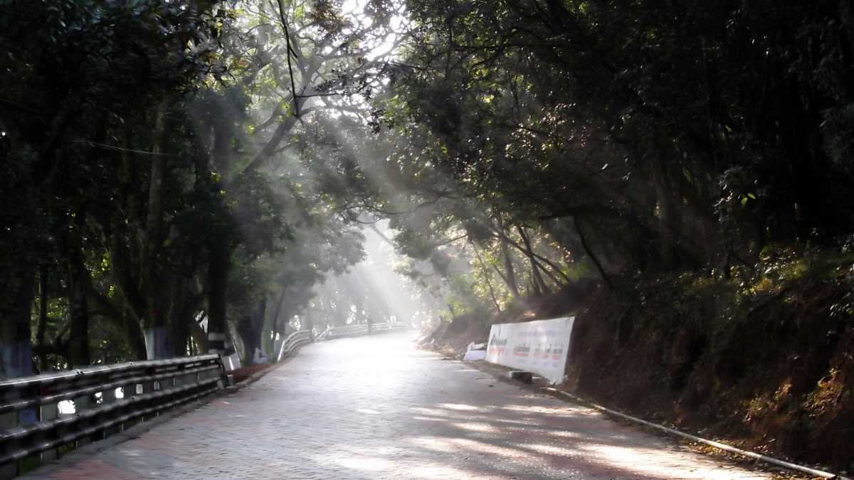 Road to Ooty, Coimbatore to Ooty