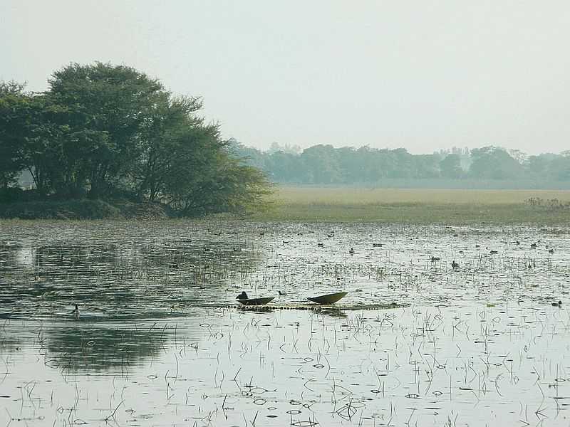 Nawabganj Bird Sanctuary