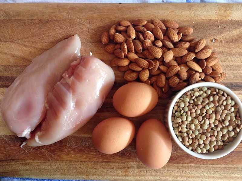 Have Lean Protein, Tips to Maintain a Healthy Diet while Travelling