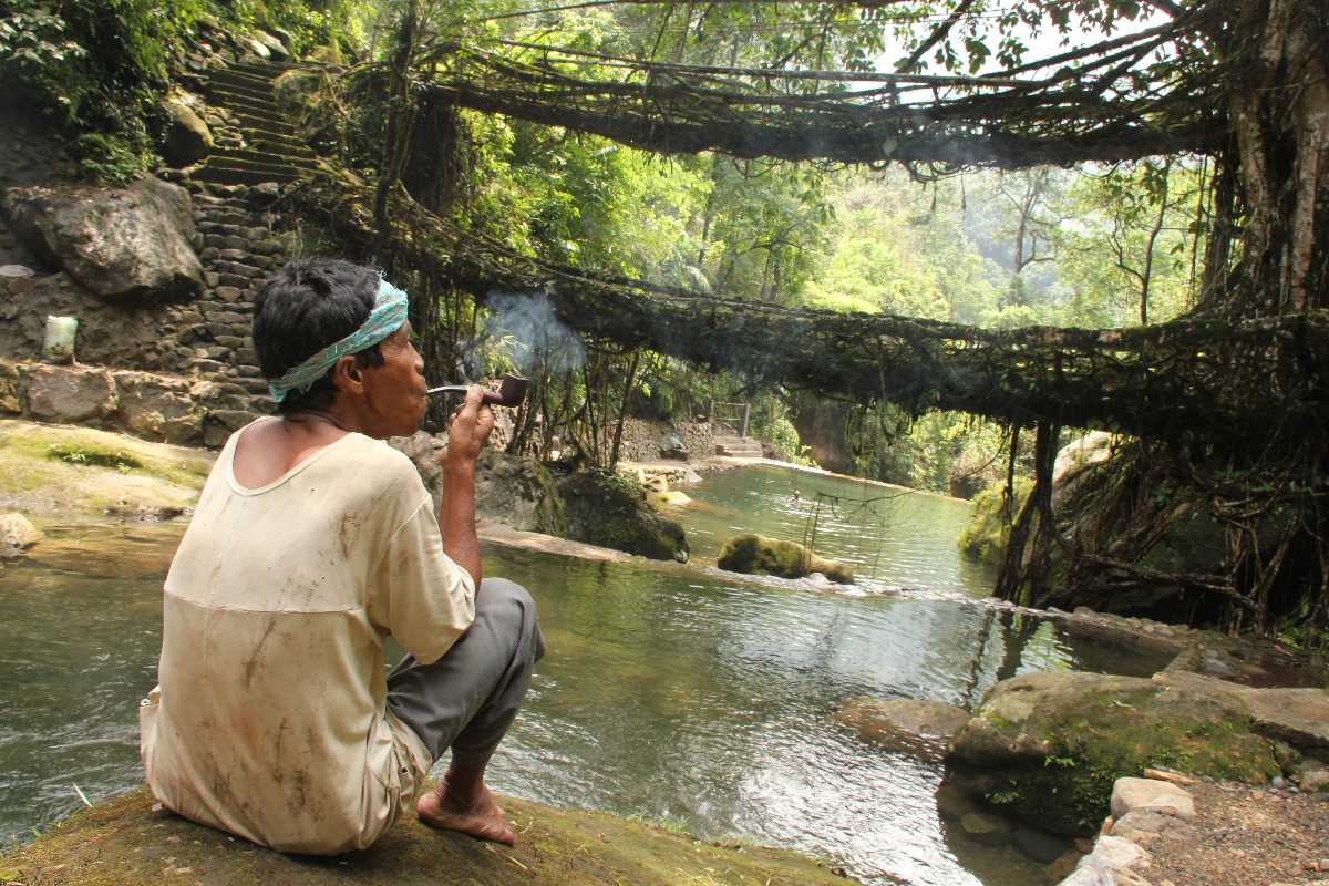 Meghalaya, Living root bridges