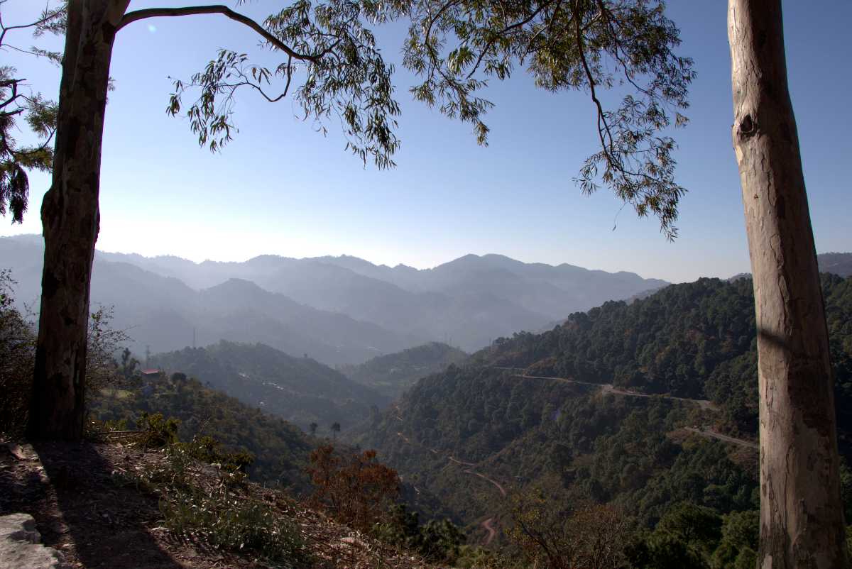 A View of Kasauli Hills