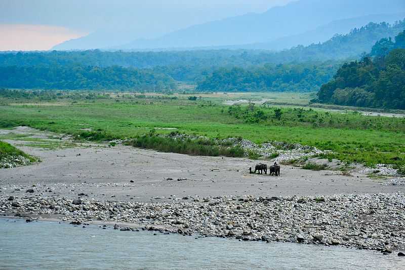 Manas NAtional park in Monsoon