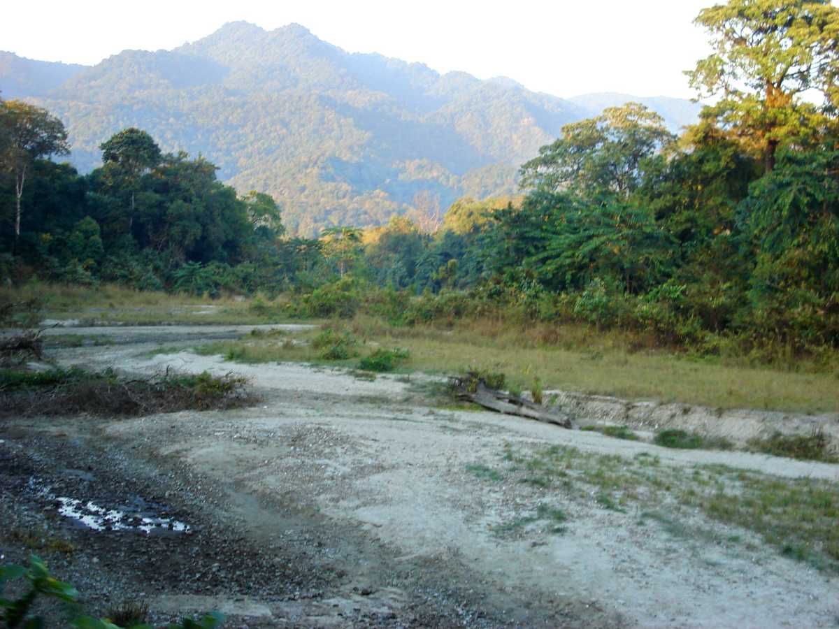 Manas National Park in Winter