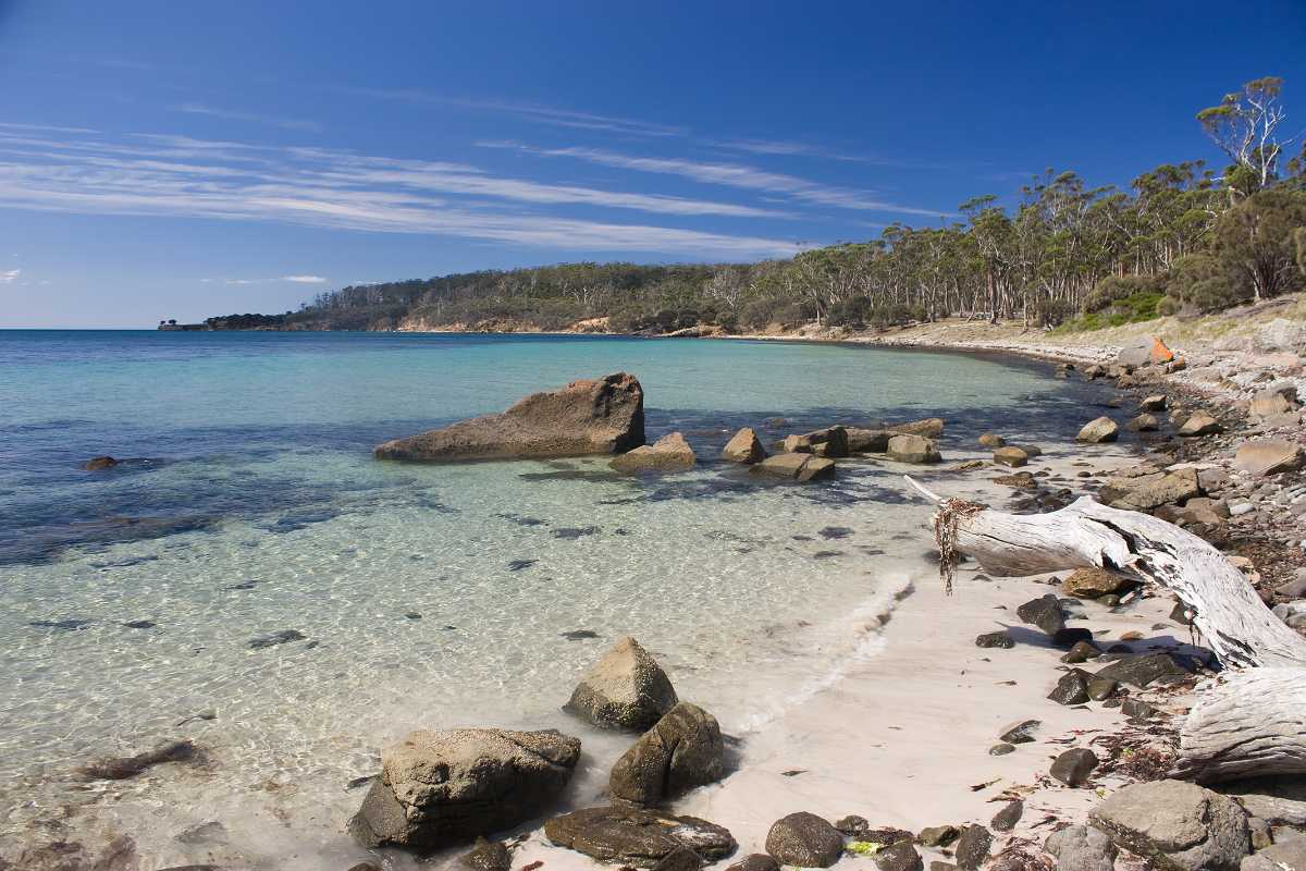 Maria Island National Park Tasmania Australia Ferry Timings Tours 