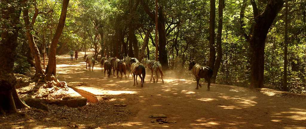 Matheran Horse Riding in India