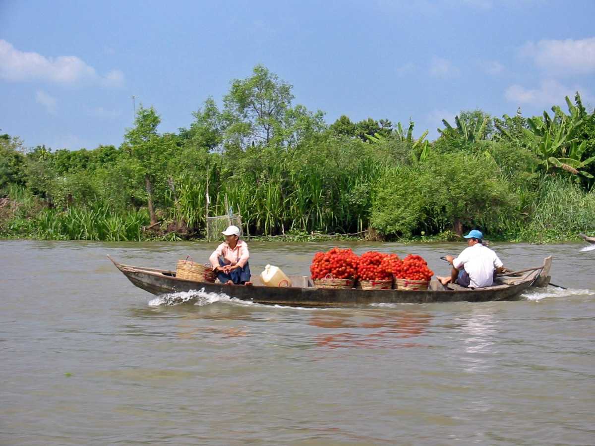 mekong delta, cycling in vietnam