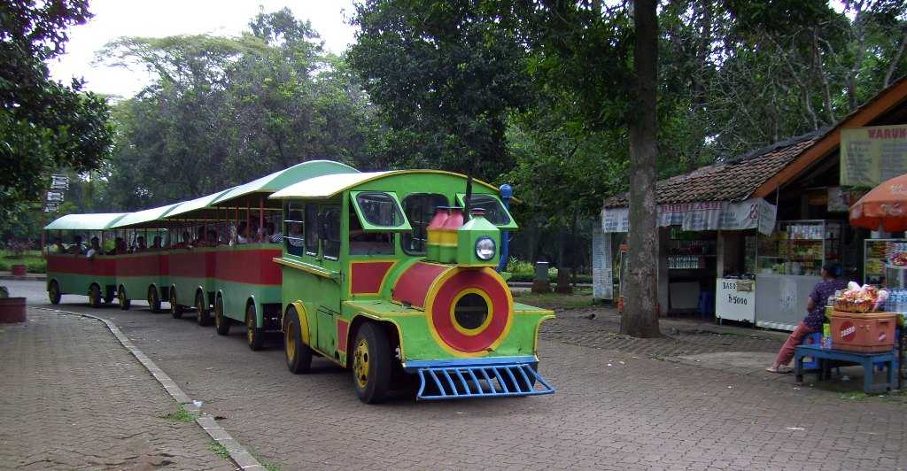 Train Ride at Ragunan Zoo