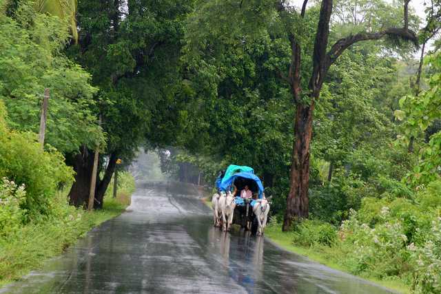 Monsoon in South India