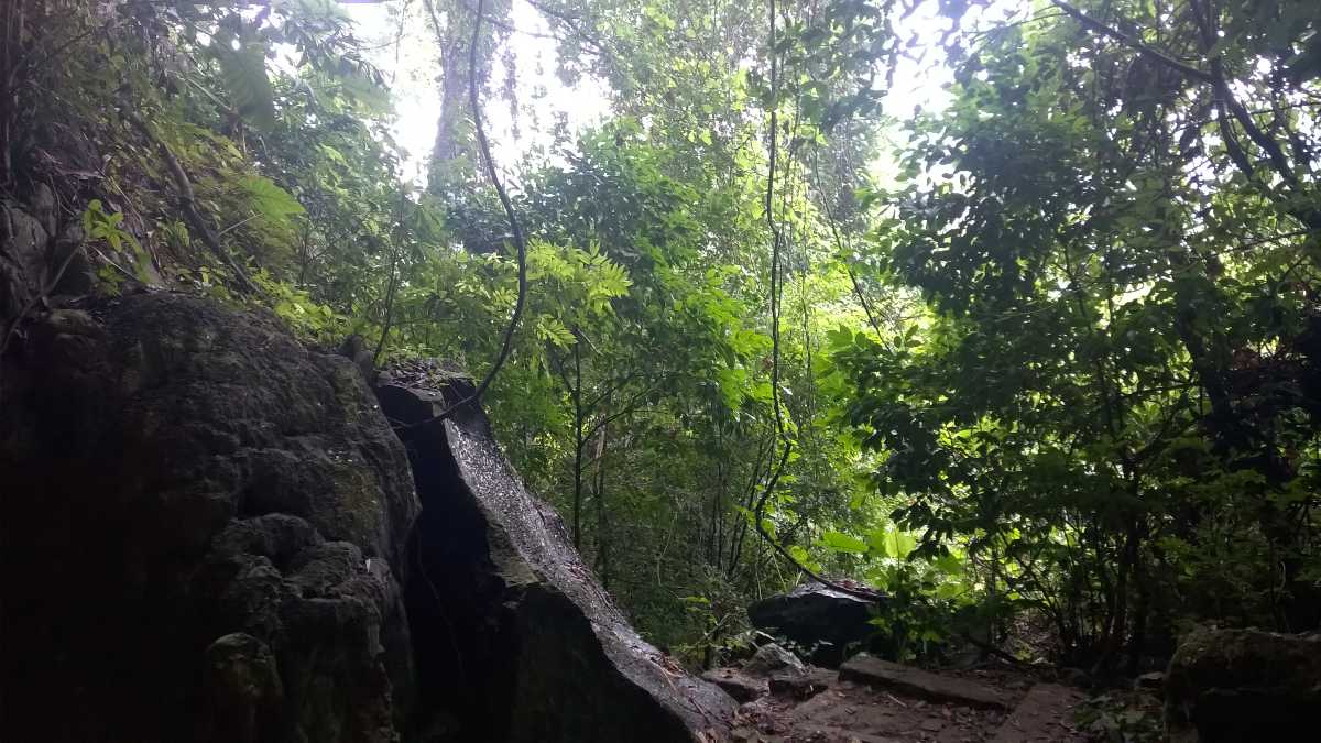 Cat Ba Island, Trekking in Vietnam