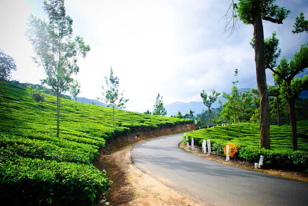 Munnar Road