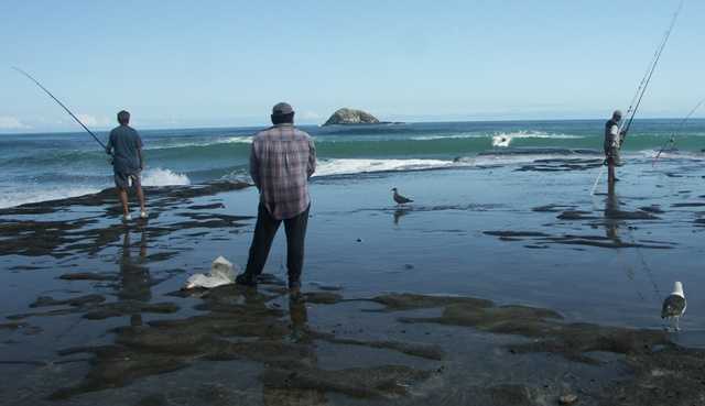 Fishing at Muriwai Beach