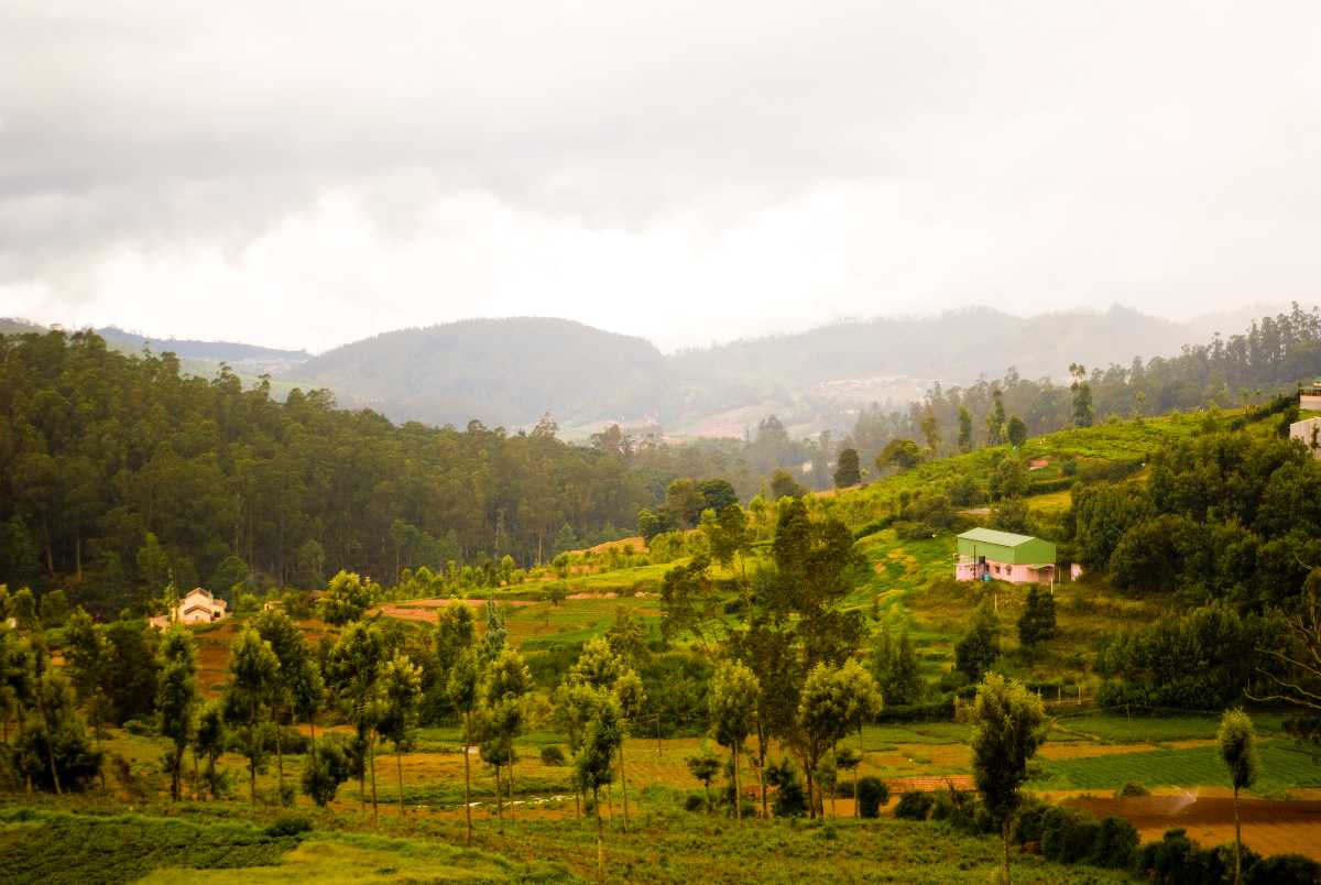 tamilnadu tourism mudumalai