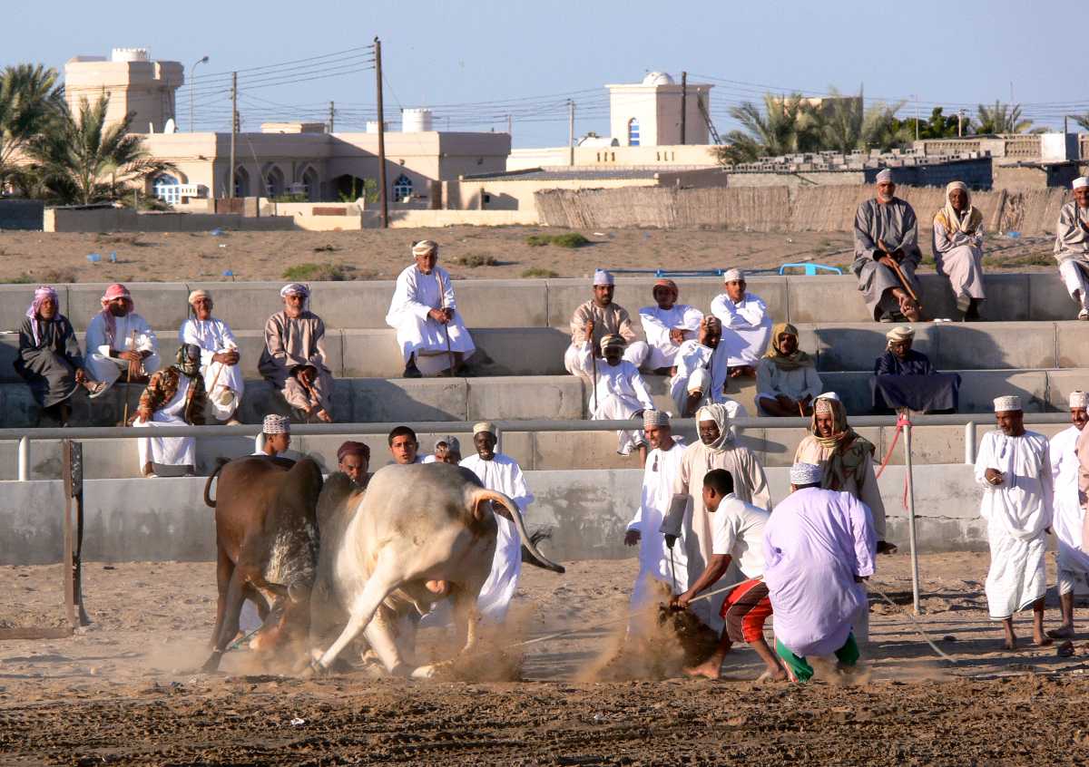 tourist information barka oman