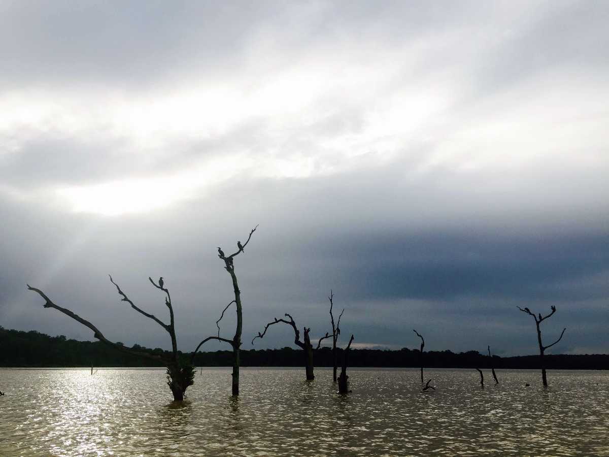 The River Kabini