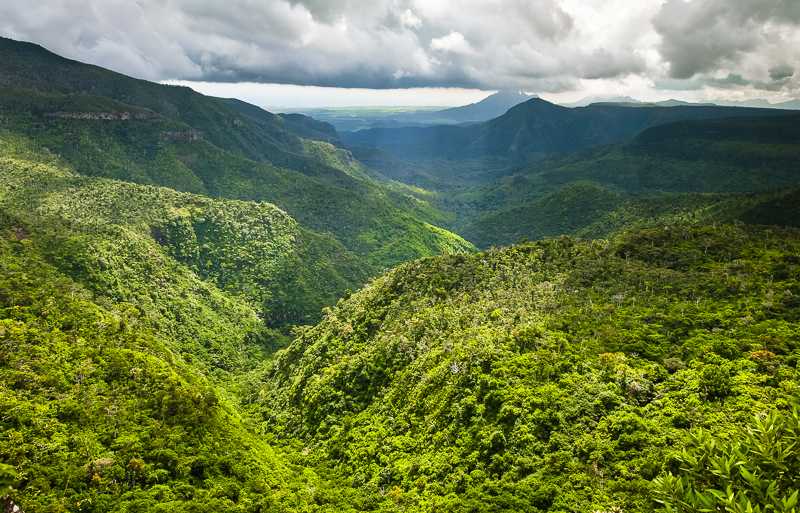 Black River Gorges, Cycling in Mauritius