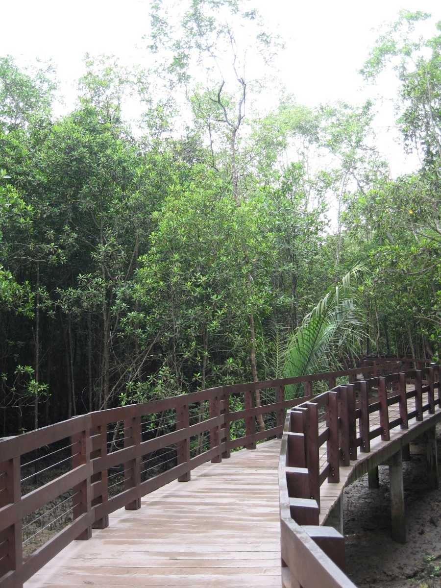 Pasir Ris Park Boarwalk