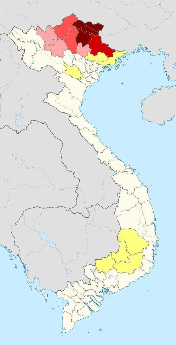 Languages in Vietnam, the Tay People in Vietnam