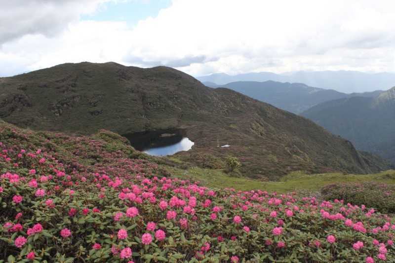 Phajoding Monastery