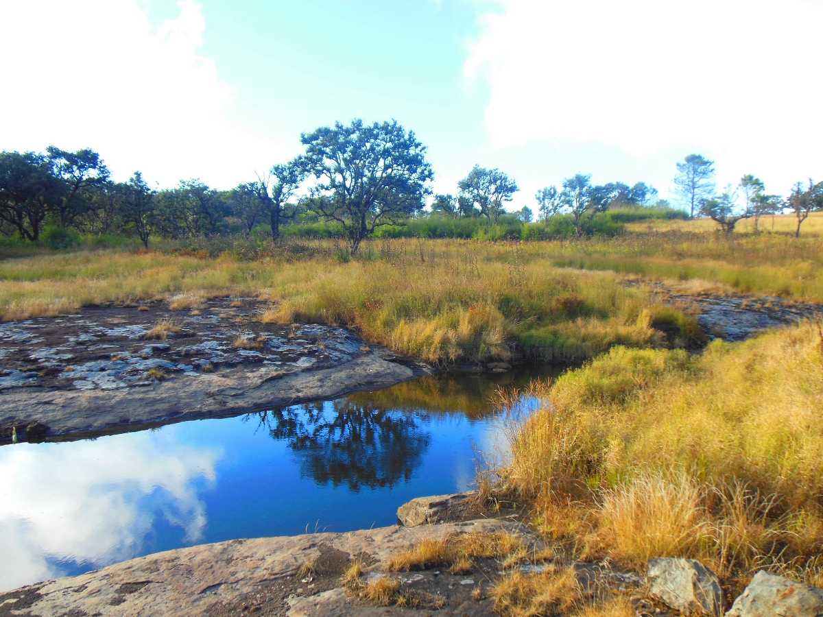 Phawngpui National Park