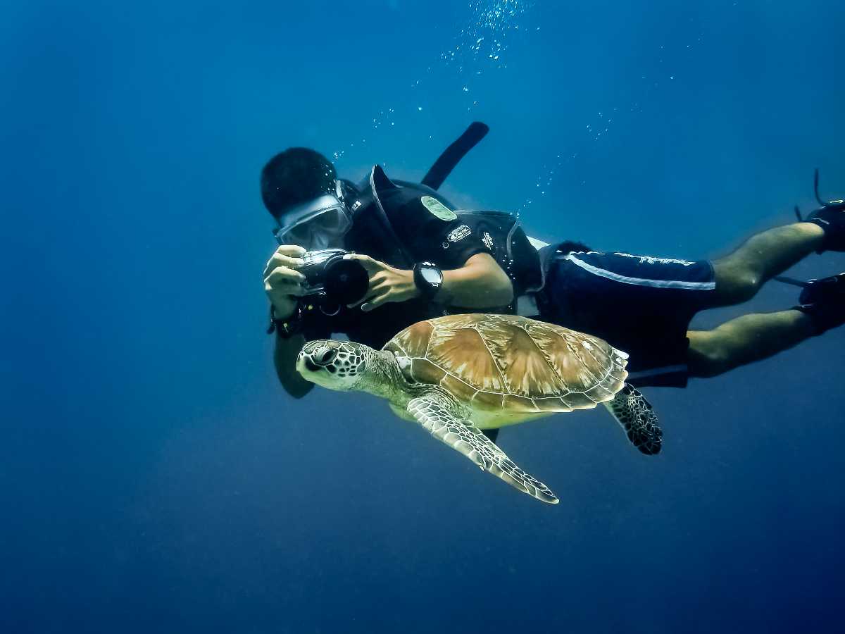 Snorkelling in mauritius