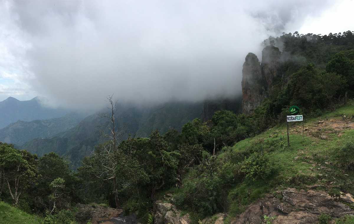 Pillar Rocks with Forest