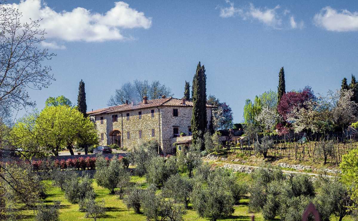 10 Tuscan Vineyards You Cannot Miss Holidify