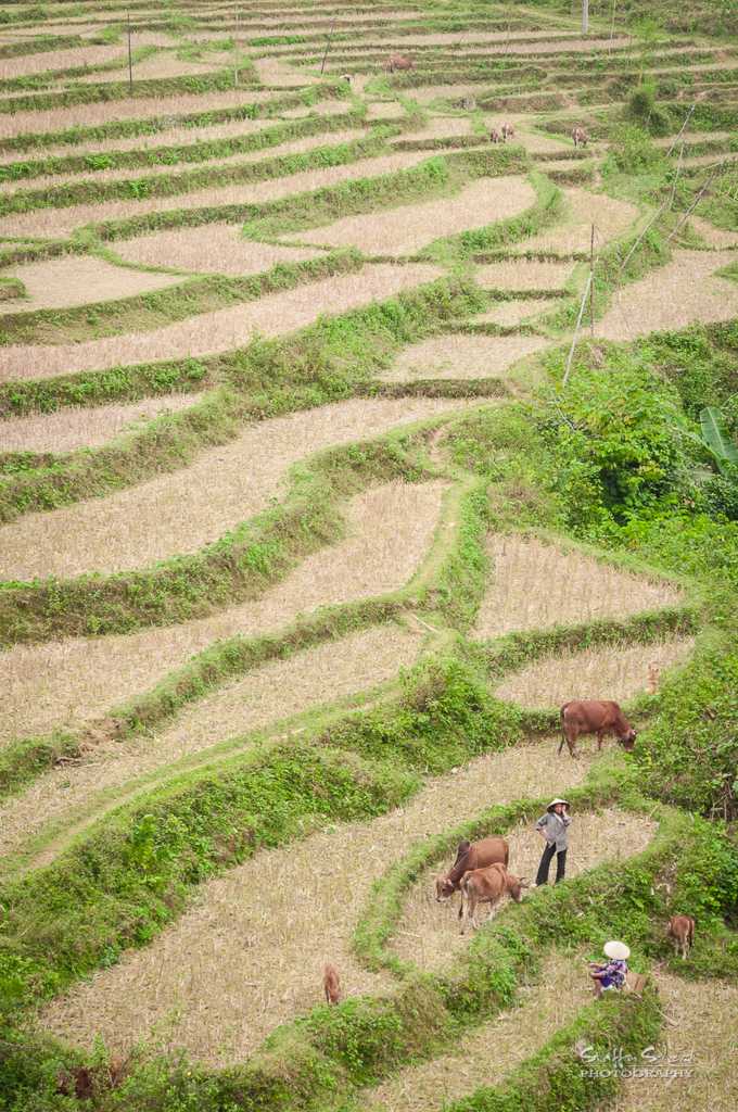 Pu Luong Nature Reserve, Trekking in Vietnam