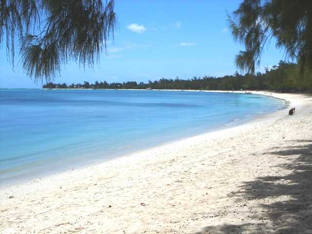 Trou Aux Biches & Mount Choisy