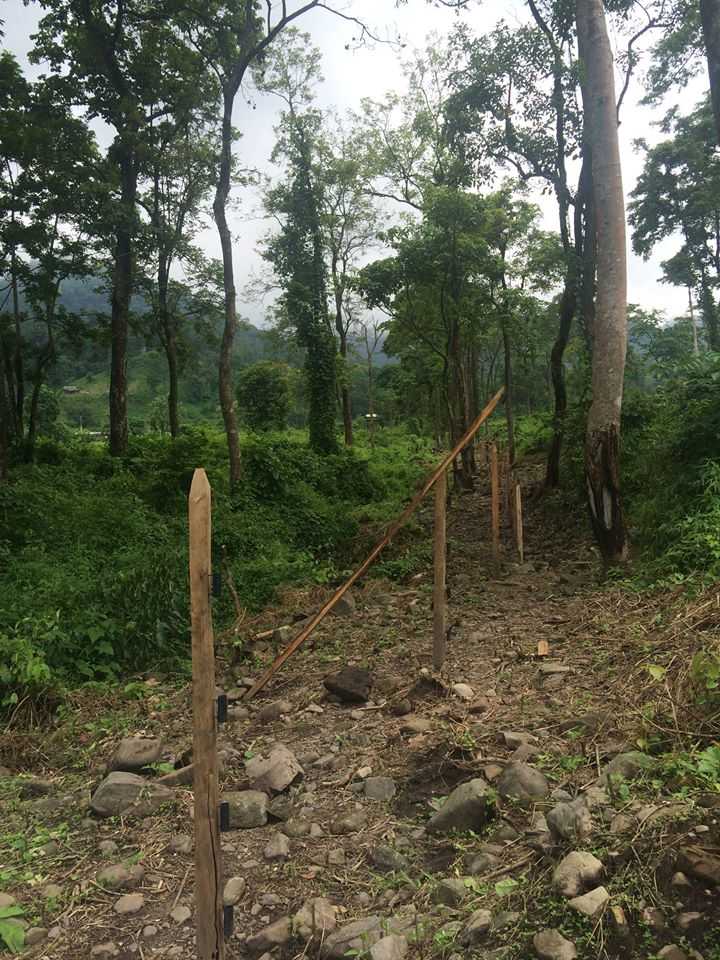 Royal Manas National Park Bhutan