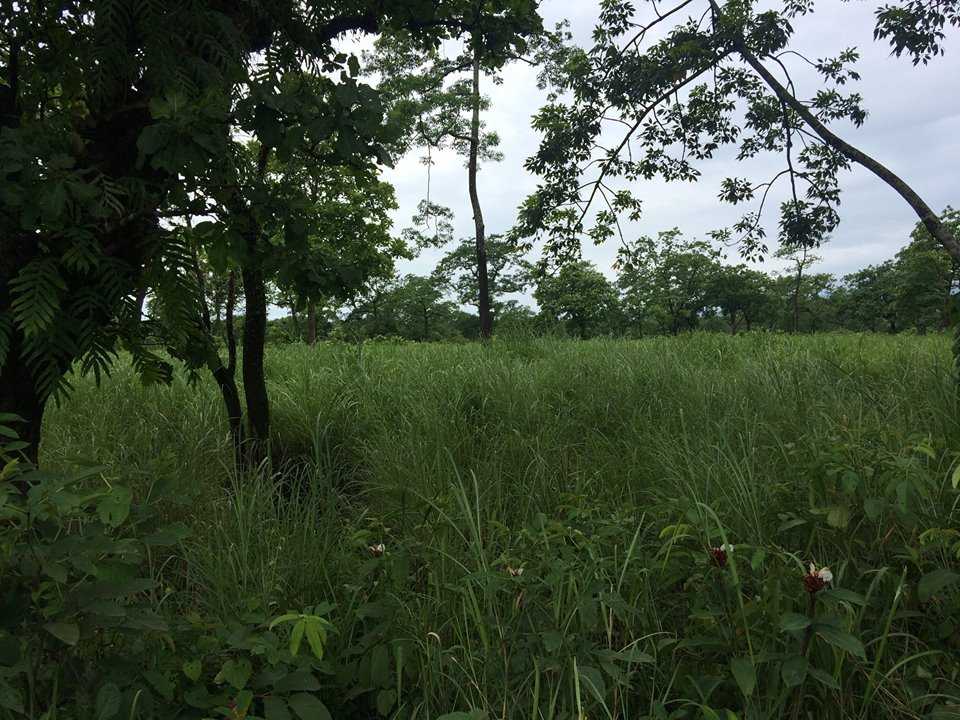 Royal Manas National Park Bhutan