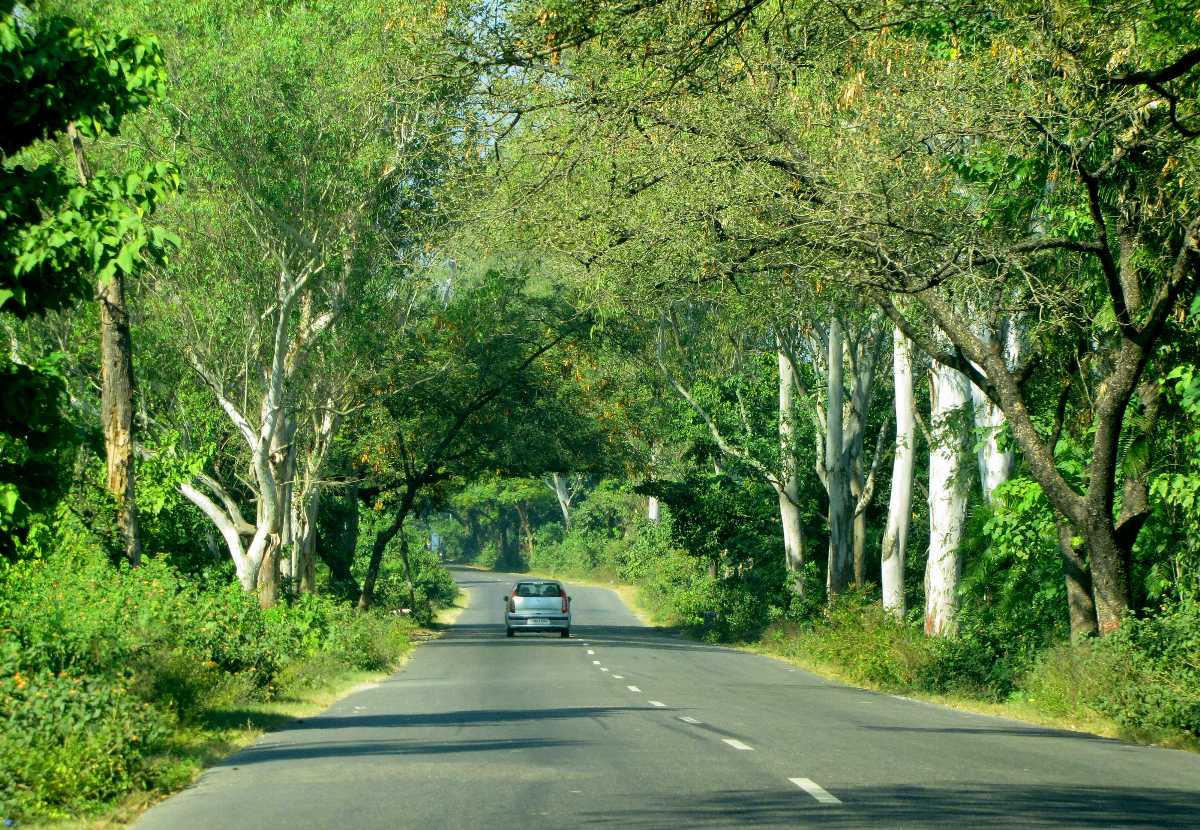 Roads of Dehradun