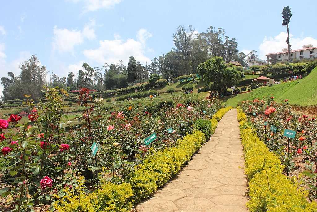 ooty tourist month