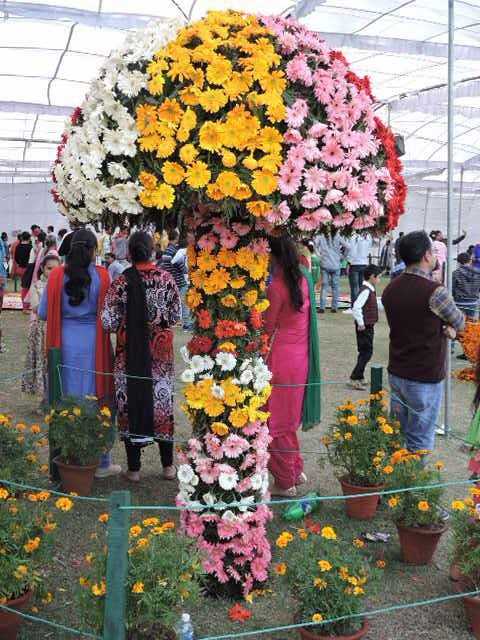 Rose Festival In Chandigarh