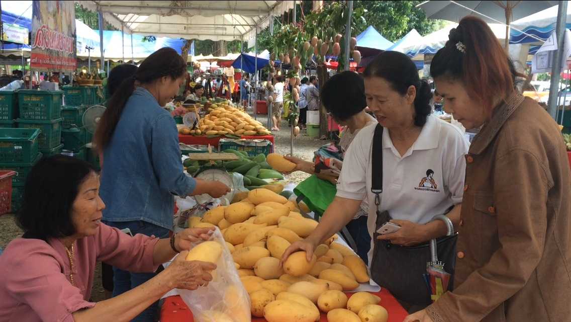 Chiang Mai Mango Fair