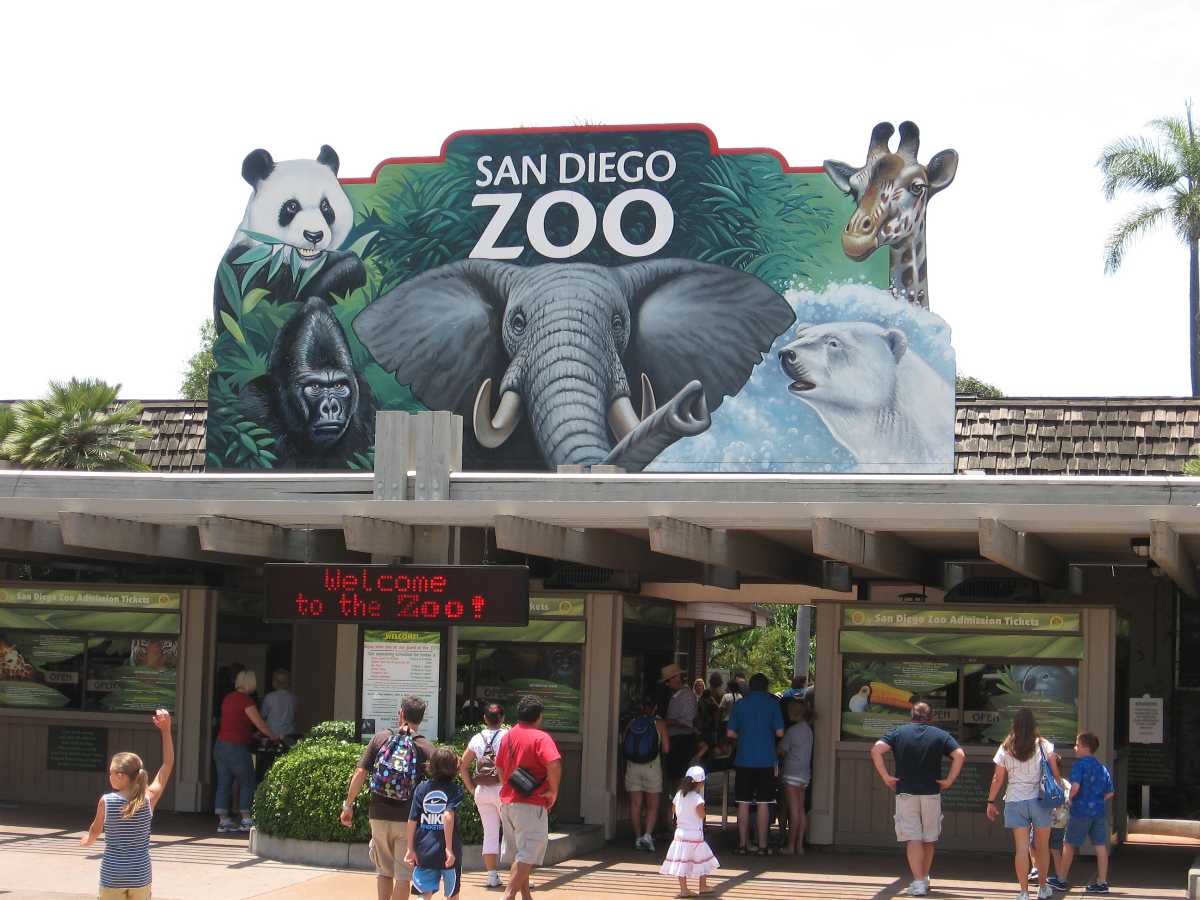 san diego zoo visit