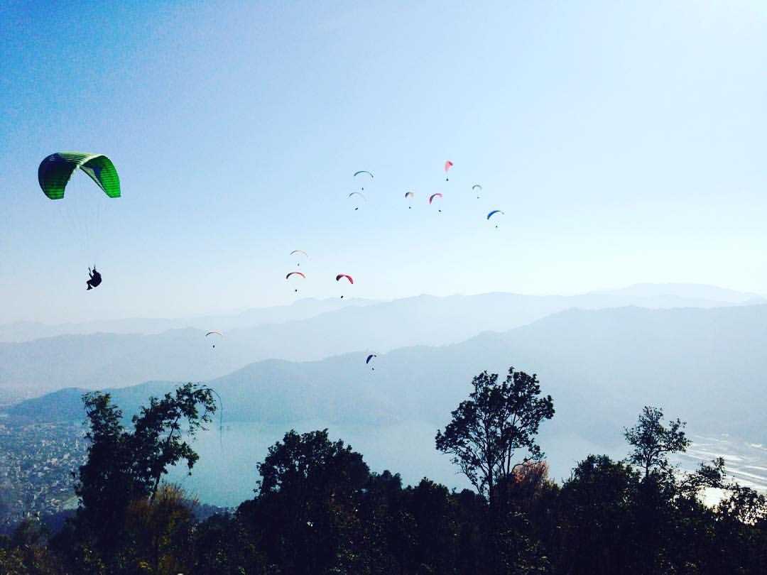 People skydiving