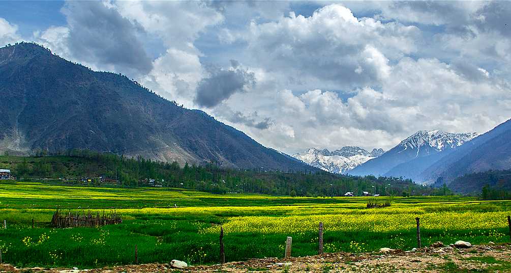 Landscape view of Srinagar