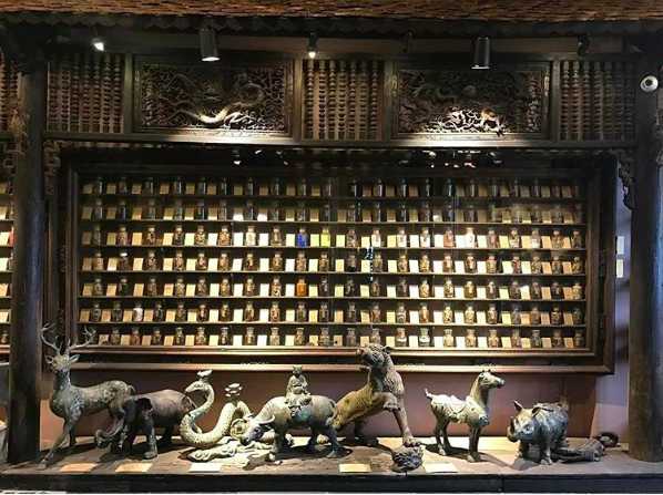 Museum of Traditional Vietnamese Medicine, Ho Chi Minh City, Vietnam