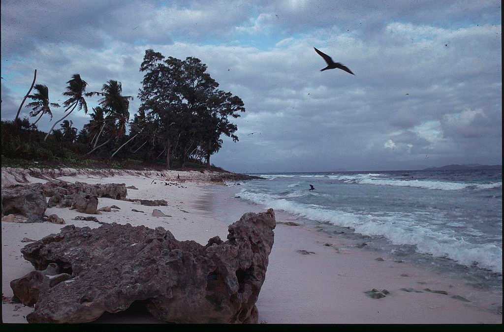 Aride Island Seychelles