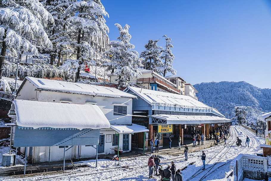 shimla tour package from dehradun