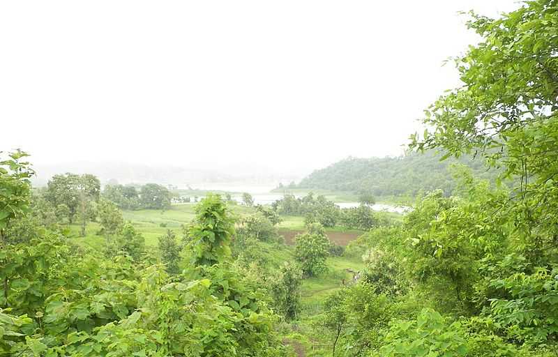 Shoolpaneshwar Wildlife Sanctuary