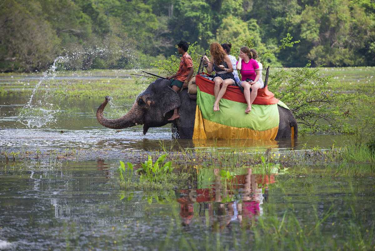 safari world elephant ride