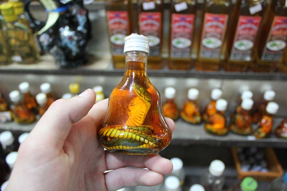 Shopping in Vietnam, Snake Wine, What to But in Vietnam