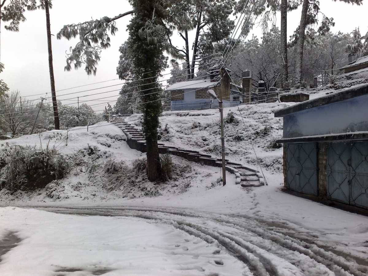 Snowfall in Ranikhet